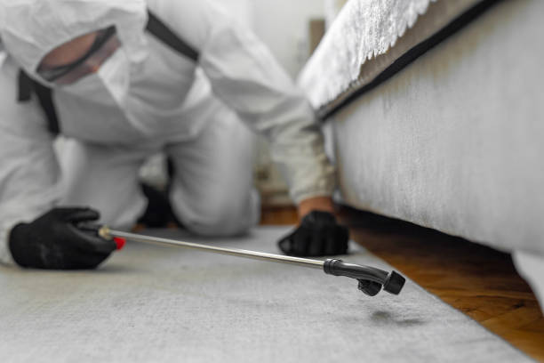 Professional Bed Bug Control technician working in Nanuet, NY