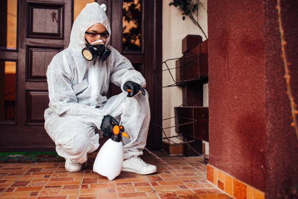 Reliable Bed Bug Control contractor in Nanuet, NY by Nex Pest Control